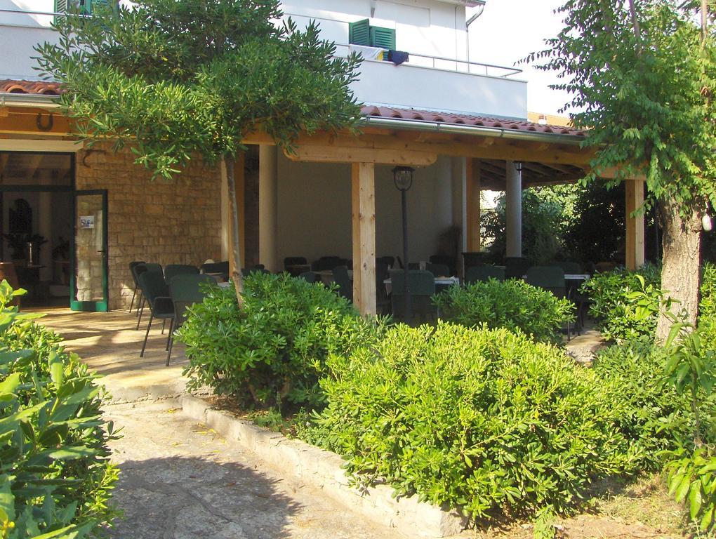 Kleine Hexe B&B Pension Пироваць Екстер'єр фото